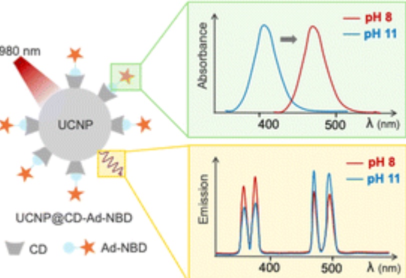 A host-guest approach to ratiometric pH sensing using upconversion nanoparticles.