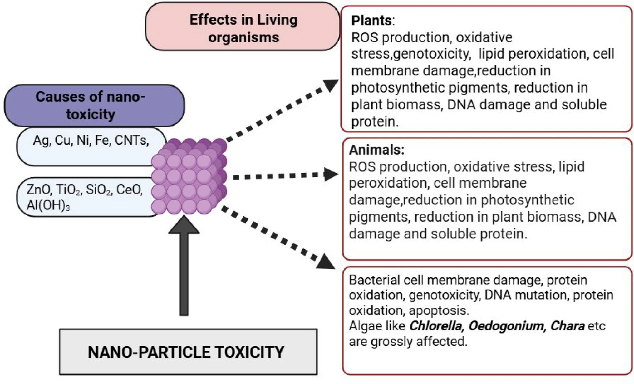 Novel avenues of mitigation of rice paddy methane: a review.