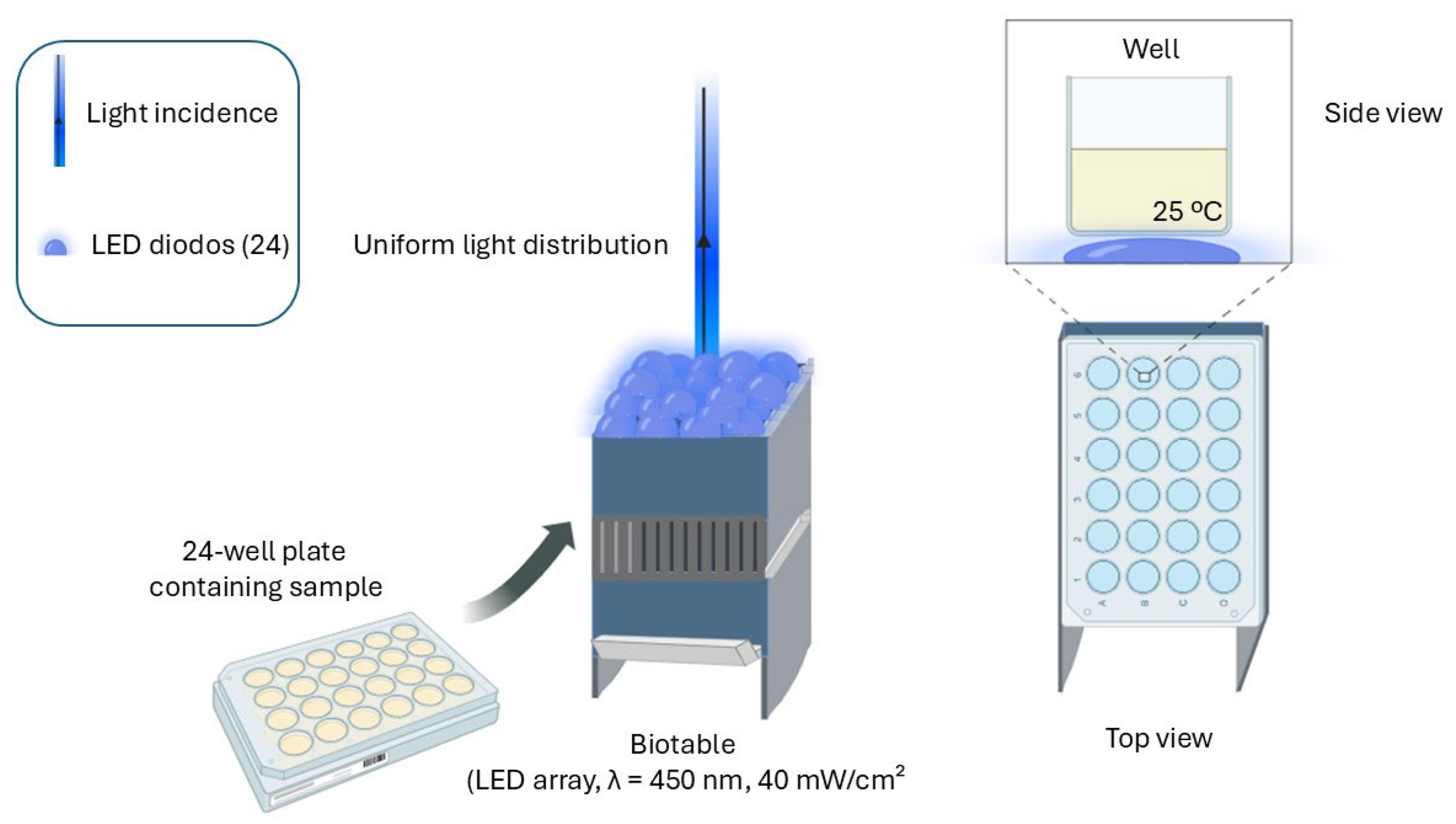 Control of methicillin-resistant Staphylococcus aureus using photodynamic therapy in synergy with Staphylococcus epidermidis: role of mixed cultures in developing strategies to inhibit infections.