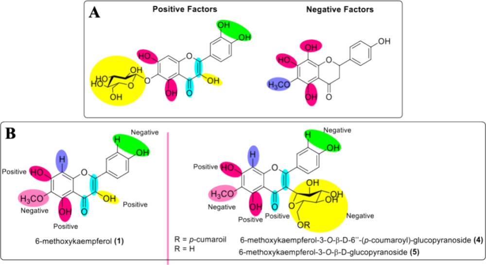 Compounds isolated from Paepalanthus spp. (Eriocaulaceae) and their evaluation in antimicrobial, cytotoxic, and antiviral assays.