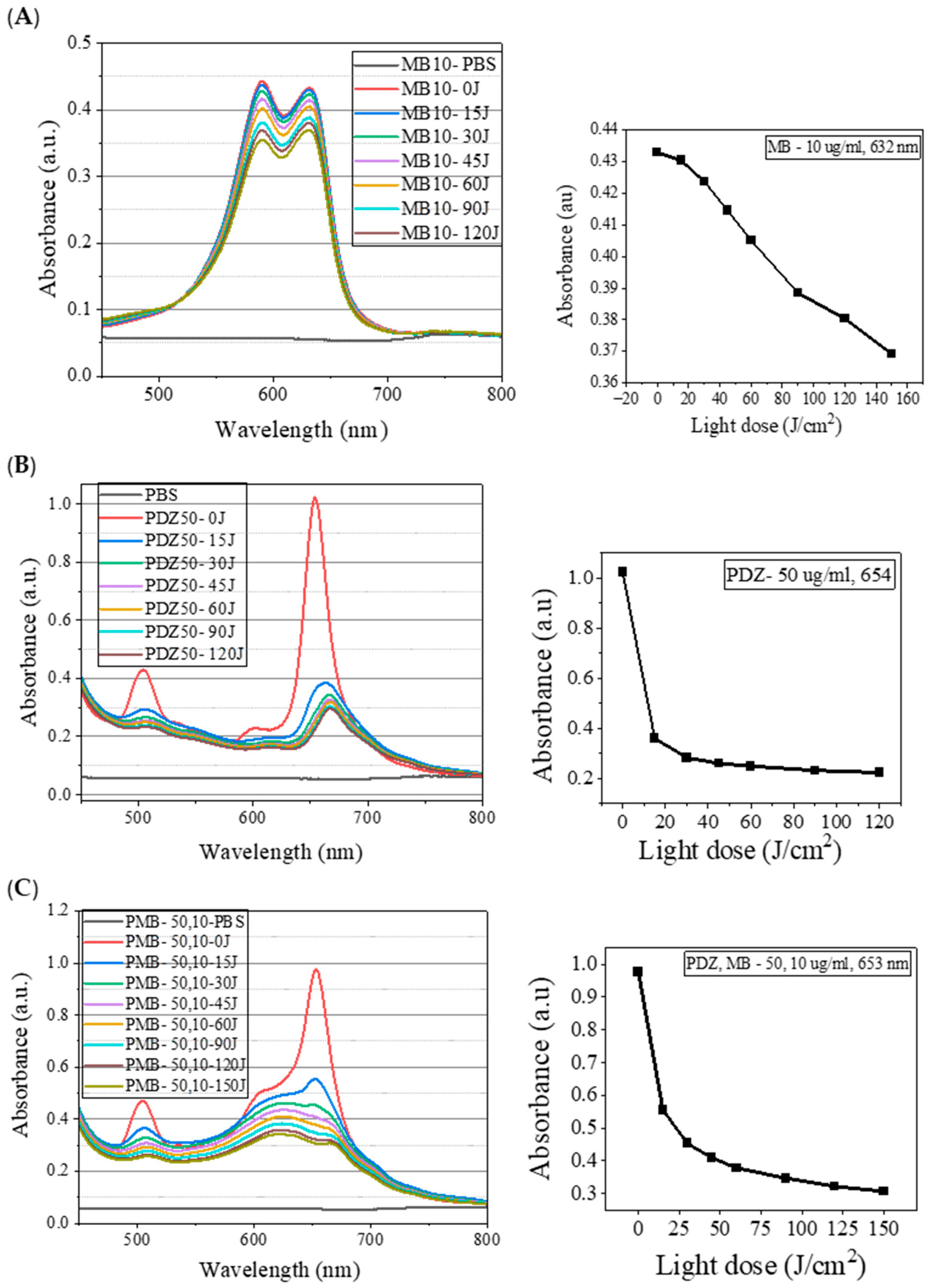The combined photosensitizers in antimicrobial photodynamic therapy: the case of methylene blue and photodithazine against Klebsiella pneumoniae.
