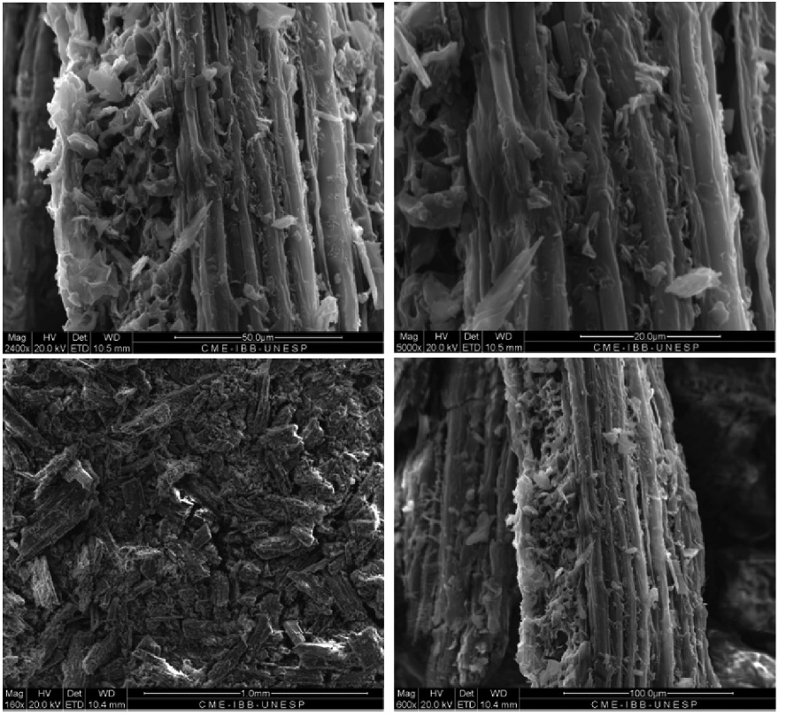 Functionalization of activated carbon with melamine binder for adsorption of metallic species from aqueous environments.
