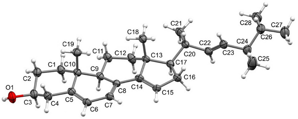 Manganese-induced production of antioxidant polyene steroids in the extremophile fungus Talaromyces fuscoviridis isolated from copper-mine soil.