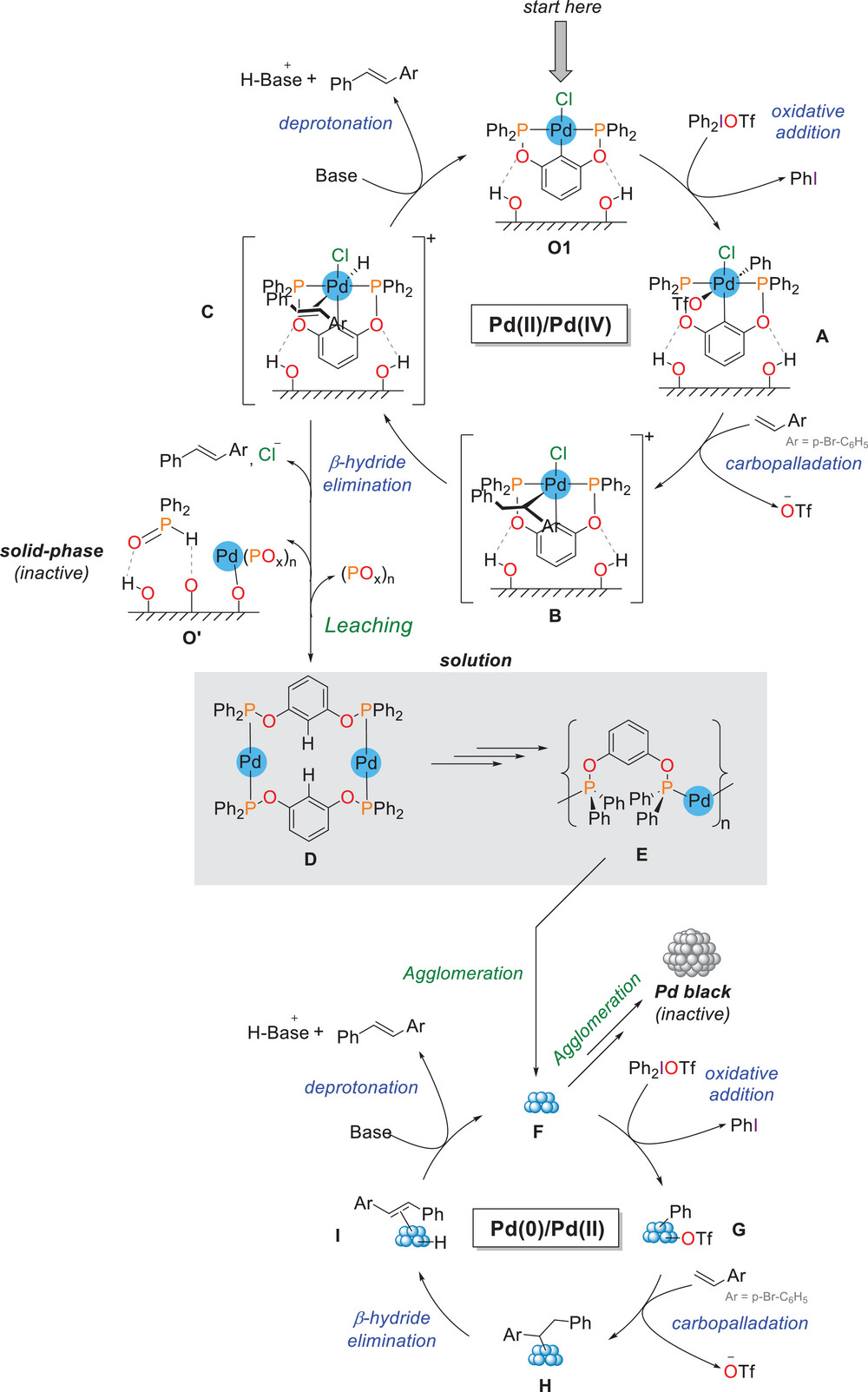 Heterogenized PCP Pd pincer complexes for the arylation of styrenes with iodonium salts.