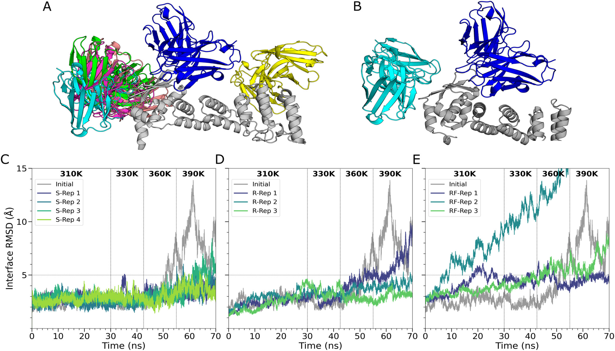 Ab-SELDON: leveraging diversity data for an efficient automated computational pipeline for antibody design.