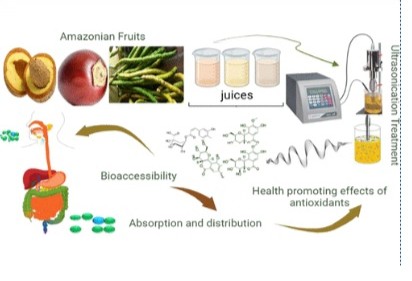 Ultrasound-assisted enhancement of bioactive compounds in Amazonian fruit juices (Mammea americana, Solanum Sessiliflorum, and Cassia leiandra).
