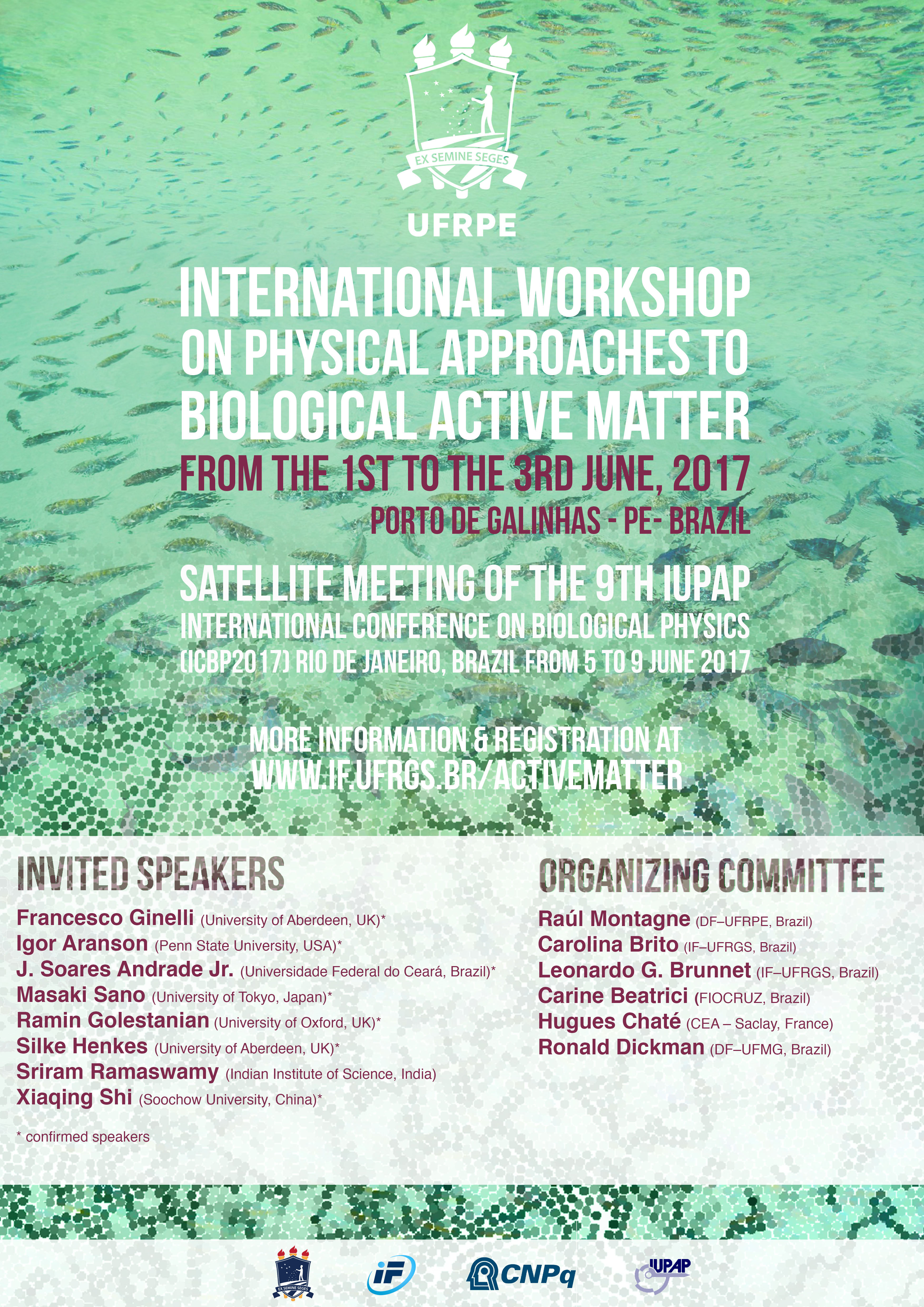 International_Workshop_on_Physical_Approaches_to_Biological_Active_Matter
