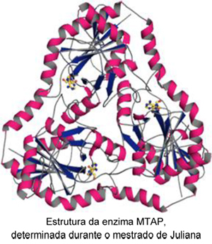 Estrutura_da_enzima_MTAP